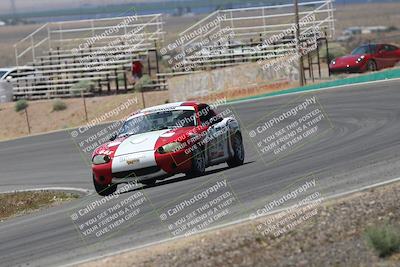 media/May-03-2025-Lucky Dog Racing (Sat) [[206de64b9d]]/Turn 4 B (1150am-130pm)/